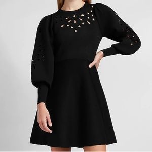 Express Eyelet Lace Fit and Flare Sweater Dress - Size Small (like new)